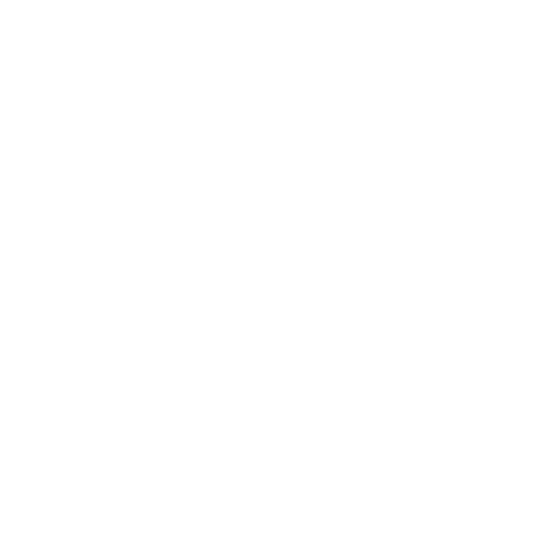 Solo Stove