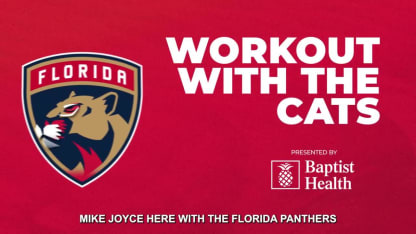 Workout With The Cats