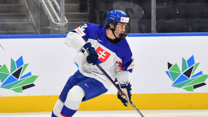 FEATURE: Misiak Finishes Season with Success after Transition to USHL
