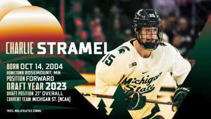 Prospect Report 121924