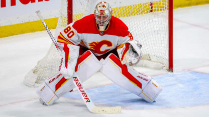 Vladar Wants to be a Force for the Flyers